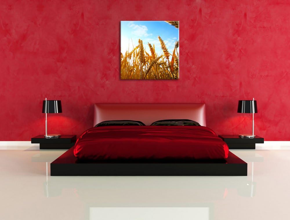 Getreide im Sonnenschein, Format: 70x70 auf Leinwand, XXL riesige Bilder fertig gerahmt mit Keilrahm