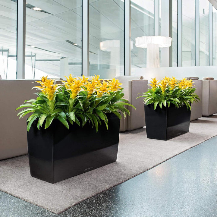 LECHUZA CARARO Premium weiss hochglanz 18800 Weiss Hochglanz Premium, Weiss Hochglanz Premium