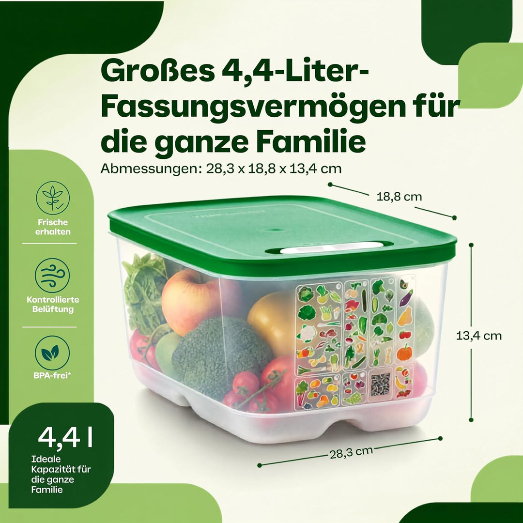 TUPPERWARE Kühlschrank 4,4L dunkelgrün KlimaOase hoch PrimaKlima A183 Klimakönig 10304