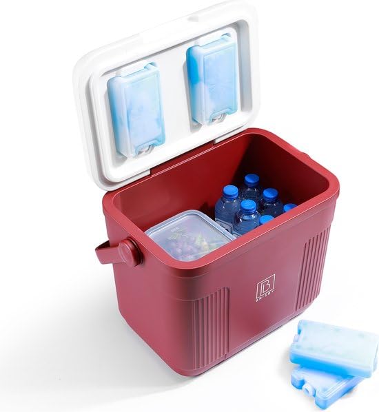 Brisby Kühlbox - 18 Stunden warm - 40 Stunden kühl - Inklusive 4 grosse Kühlelemente 450 ML - 38,3cm