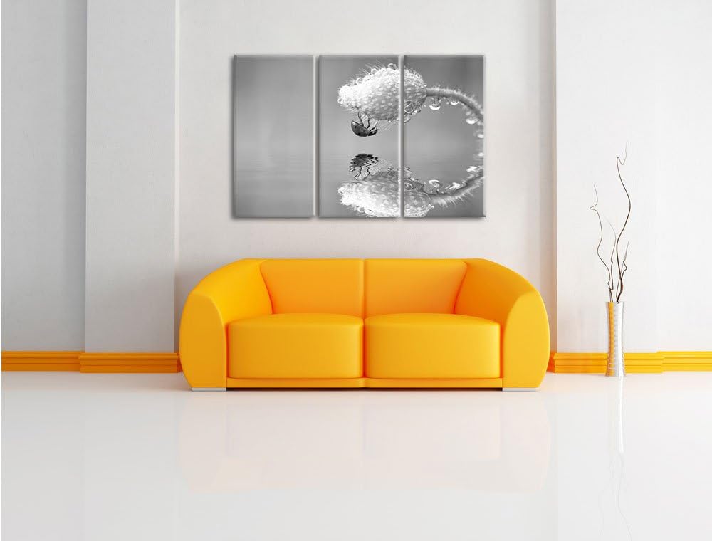 Pixxprint Marienkäfer Mohnblume als Leinwandbild/Grösse: 3 Teilig (120x80) / Wandbild/Kunstdruck/fer
