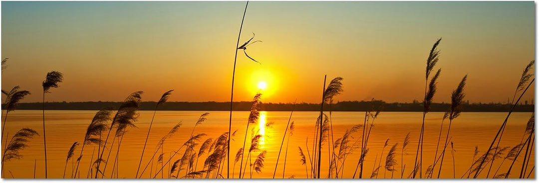 Augenblicke Wandbilder Leinwandbild als Panorama in 150x50cm Fluss Gräser Sonnenuntergang Himmel