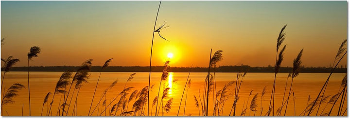 Augenblicke Wandbilder Leinwandbild als Panorama in 150x50cm Fluss Gräser Sonnenuntergang Himmel