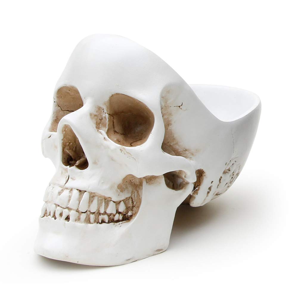 Suck UK Skull Tidy | Schale in Schädelform | Stiftehalter | Aufbewahrungsbehälter für Accessoires| S