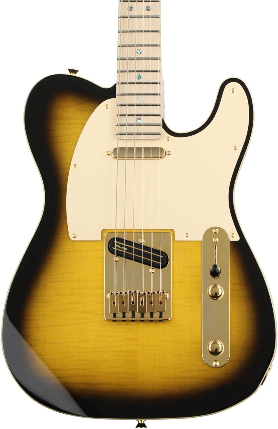 Fender Richie Kotzen Telecaster Ahorn Griffbrett E-Gitarre Braun Sunburst 0255202532