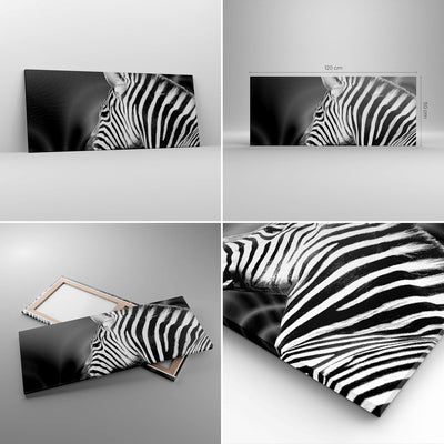 Wandbilder Dekoration Wohnzimmer Tier Zebra Streifen Panorama Bilder auf Leinwand 120x50cm Leinwandb