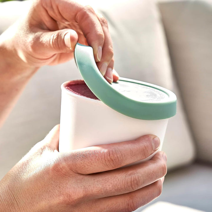 SPRINGLANE 4er-Set Eisbehälter für Speiseeis 400 ml, Aufbewahrungsbehälter, Gefrierdosen, Eis-Contai