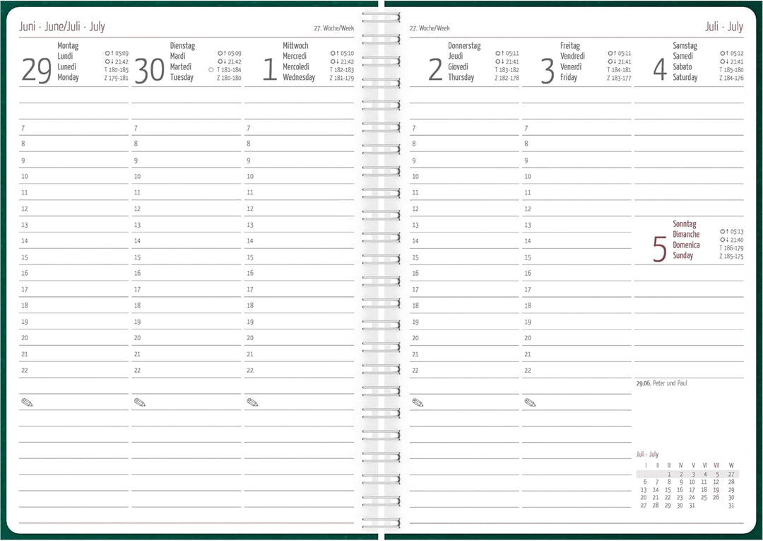 Alpha Edition - Wochenplaner Nature Line Forest Ringbuch 2026 – Taschenkalender A5 (15×21 cm) mit 12