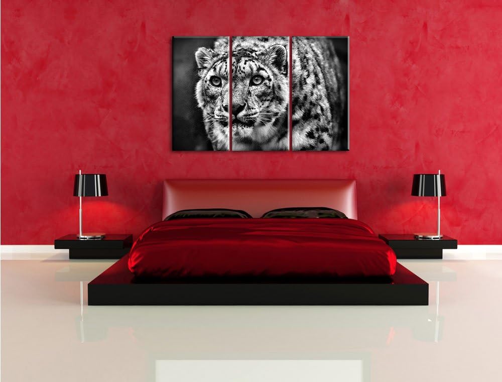 Pixxprint beeindruckender Schneeleopard als Leinwandbild/Grösse: 3 Teilig (120x80) / Wandbild/Kunstd