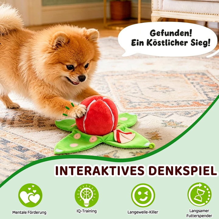 Quietschendes Hundespielzeug Kleine, Leckerli Ball für Hunde, Interaktives Such-und-Versteckspass mi