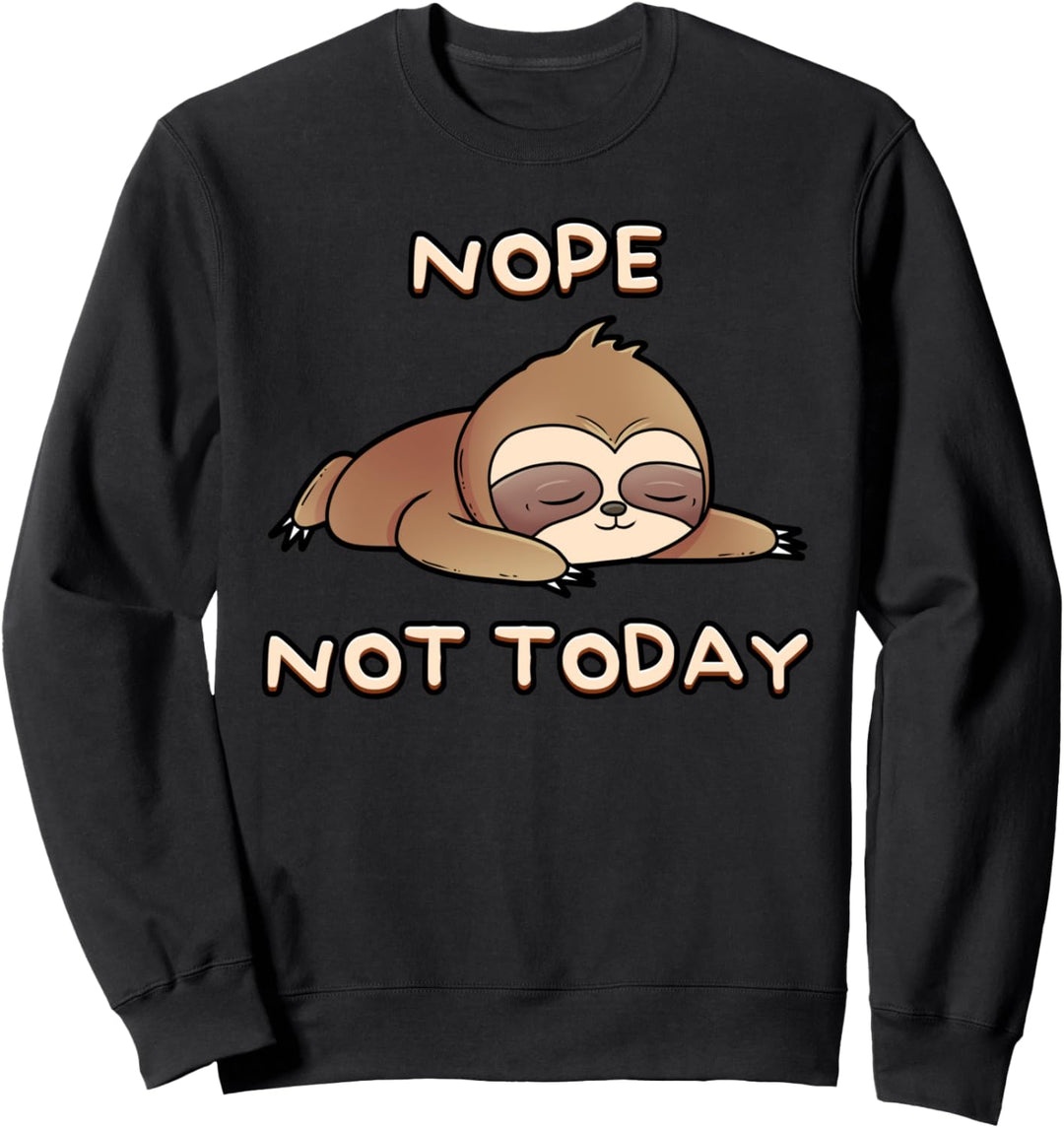 Nope Not Today, Nein Heute Nicht Regenbogen LGBT Faultier Sweatshirt