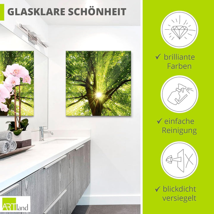 Glasbilder Wandbild Glas Bild einteilig 50x50 cm Quadratisch Wald Natur Botanik Bäume Laubbaum Sonne