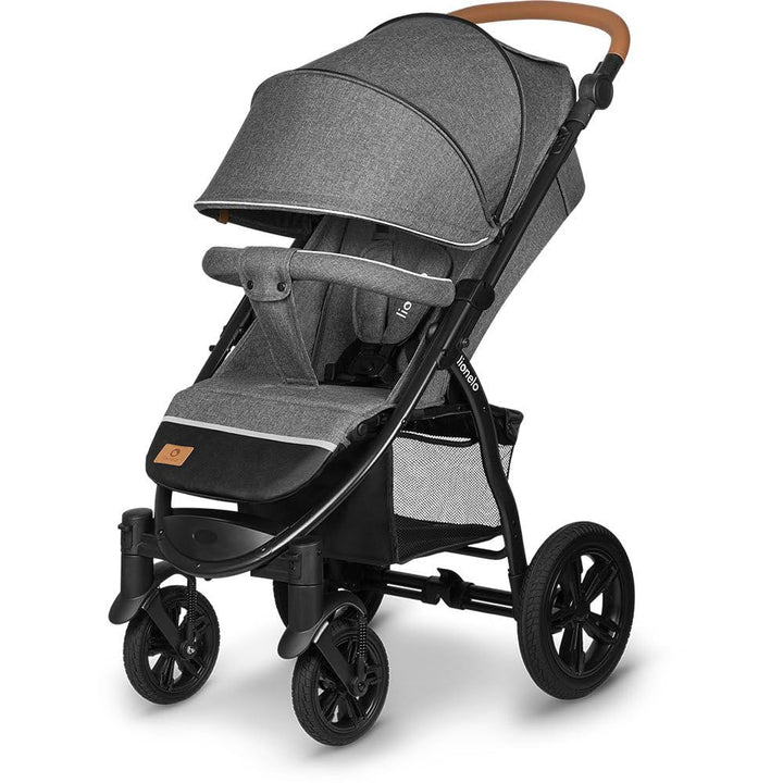 LIONELO Annet Tour Kinderwagen bis 22 kg, verstellbarer Griff, zusammenklappbar, verstellbare Rücken