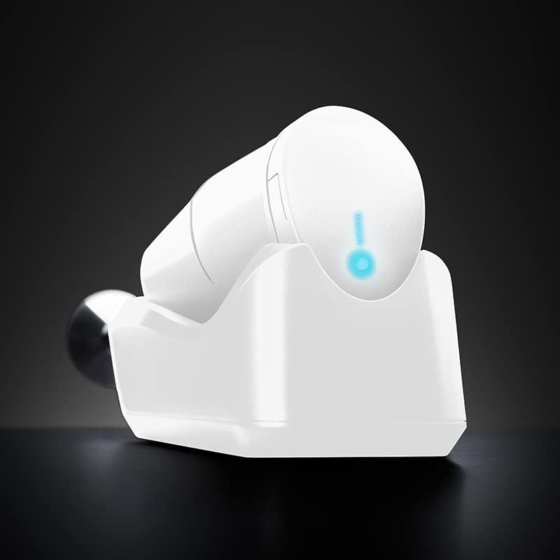 ESGE Zauberstab Cordless PRO, 2500 mAh Li-Ion Akku Profi Stabmixer, Pürierstab, ergonomischer Griff,