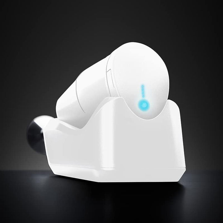 ESGE Zauberstab Cordless PRO, 2500 mAh Li-Ion Akku Profi Stabmixer, Pürierstab, ergonomischer Griff,