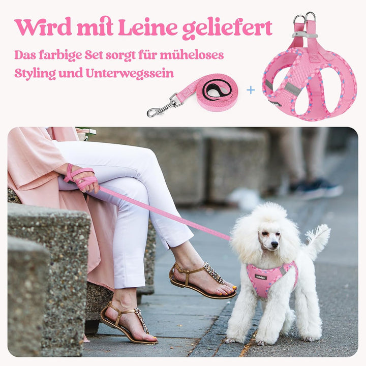 rabbitgoo Hundegeschirr Kleine Hunde mit Leine, Step-in Welpengeschirr Weich Mesh für Spaziergänge,