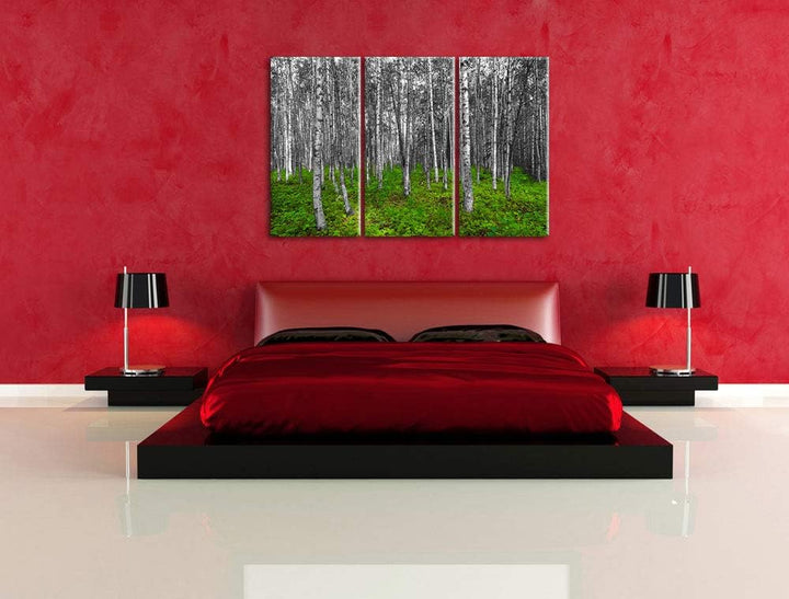 kleiner ansehnlicher Birkenwald schwarz/weiss 3-Teiler Leinwandbild 120x80 Bild auf Leinwand, XXL ri