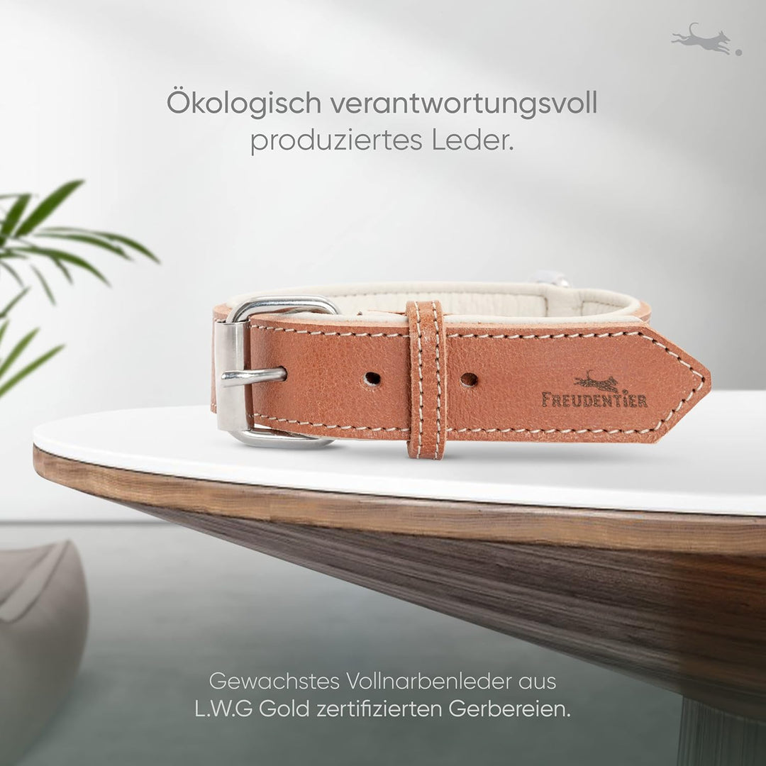 FREUDENTIER® Hundehalsband aus Leder, Made in Holland, gefüttert & super komfortabel, hochwertiges b
