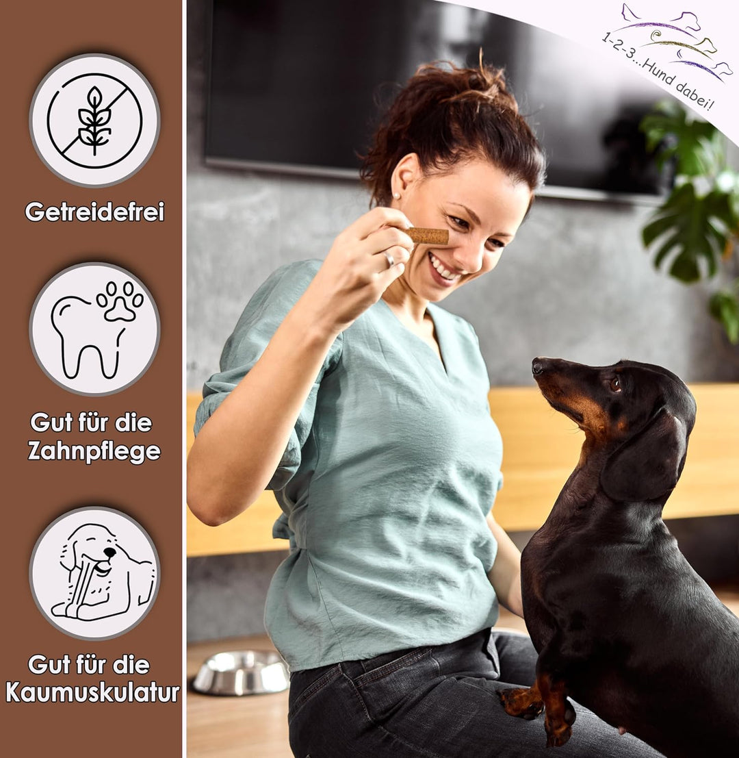 123... Hund dabei! - Kaurollen XXL 50er Tray (Pferd) - Dentalkaurolle - Getreidefrei - Vorteilspaket