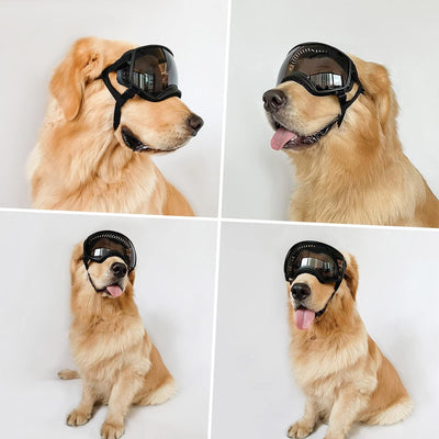 PETLESO Hundebrille Winddichte Hunde Sonnenbrille Hund Schutzbrille mit Verstellbare Band Geeignet f