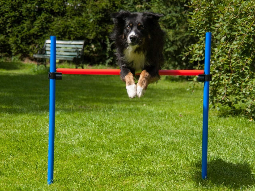 Hürde rot/blau mit Tragetasche, Agility Training für Hunde, Hundesport, Parcours für Hundetraining
