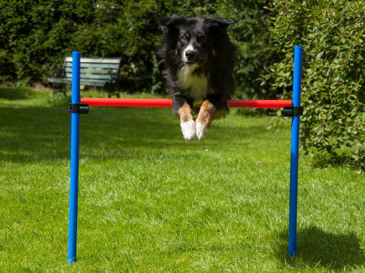 Hürde rot/blau mit Tragetasche, Agility Training für Hunde, Hundesport, Parcours für Hundetraining