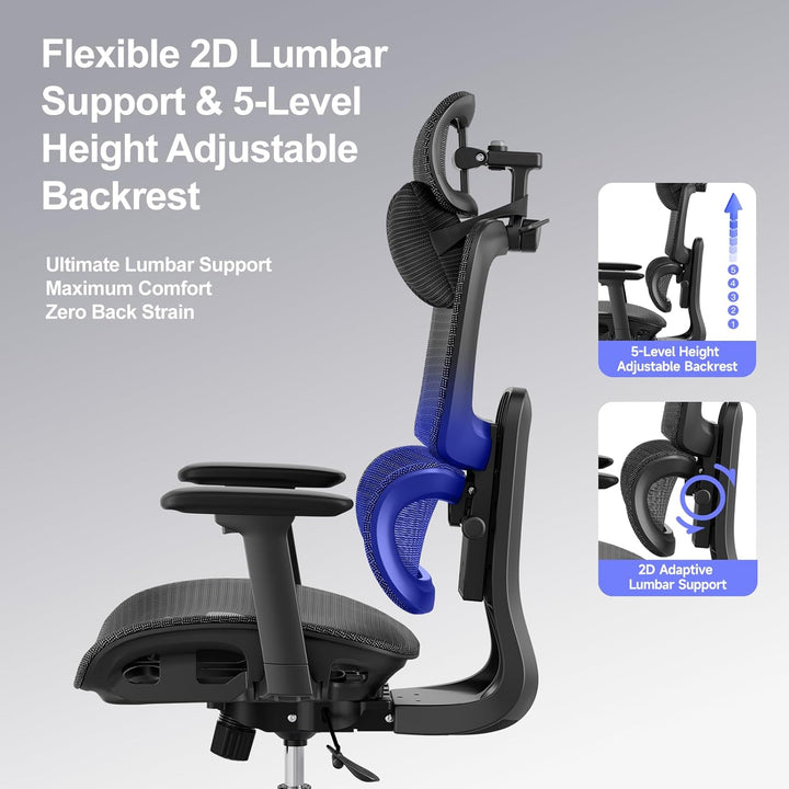 Ergonomischer Bürostuhl Schreibtischstuhl, Netzstoff Drehstuhl mit 2D-Lendenwirbelstütze & 3D-Kopfst