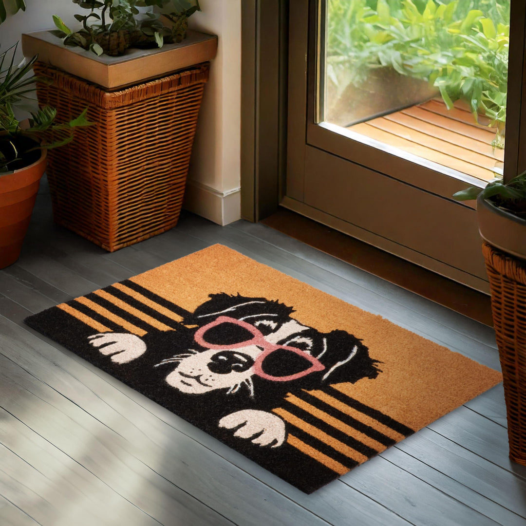 BRUBAKER Fussmatte für Aussen und Innen - Hund mit Sonnenbrille - 45 x 75 cm Schmutzfangmatte aus 10