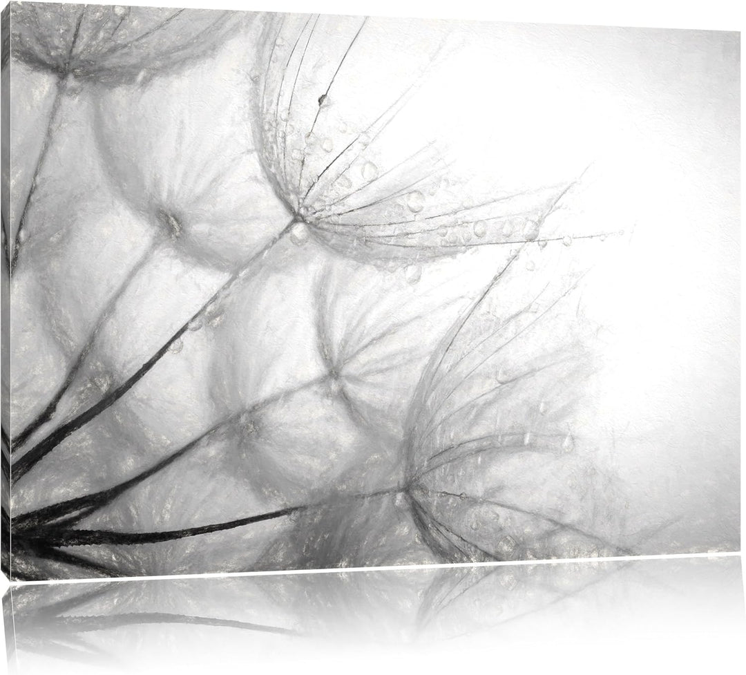 Pixxprint Tropfen bedeckte Pusteblumen als Leinwandbild/Grösse: 100x70 cm/Wandbild/Kunstdruck/fertig