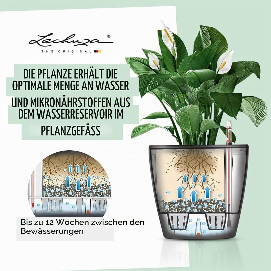 LECHUZA CLASSICO Premium LS 28 schwarz hochglanz 16049 28.5x28.5x26 cm Schwarz Hochglanz Einzel, 28.