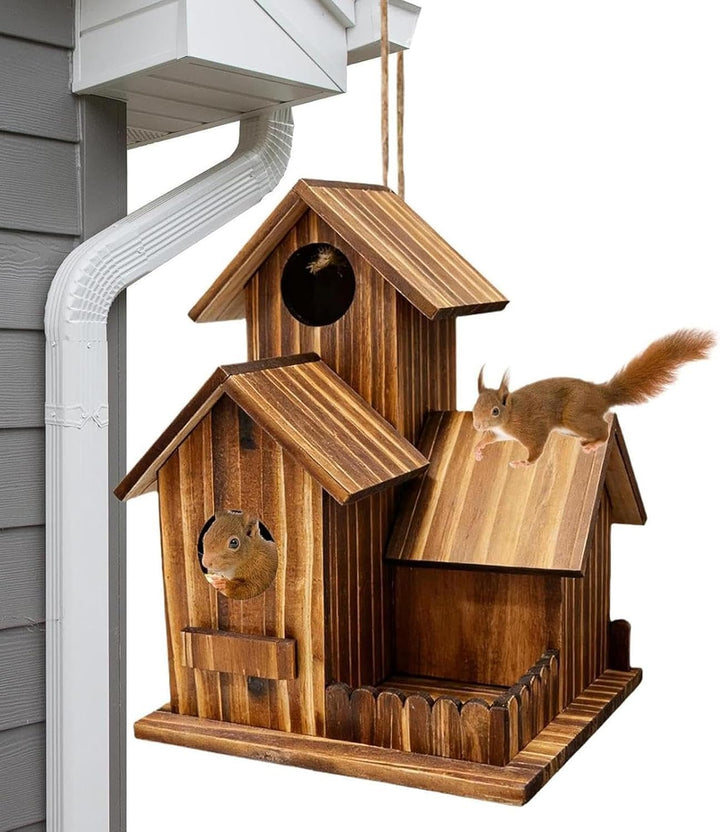 Eichhörnchen-Futterboxen für draussen Lustiger Markisen-Futternapf für | Eichhörnchen Wasserhaus Gee