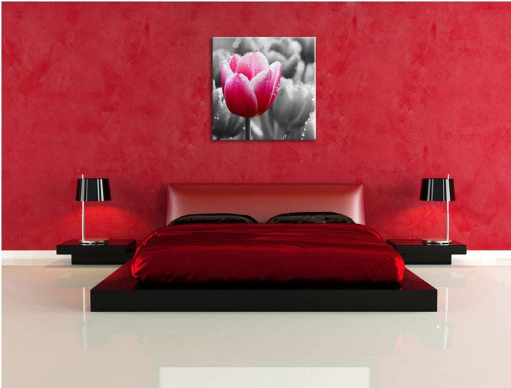 Pixxprint Tulpen im Morgentau als Leinwandbild/Grösse: 70x70 cm/Wandbild/Kunstdruck/fertig bespannt,
