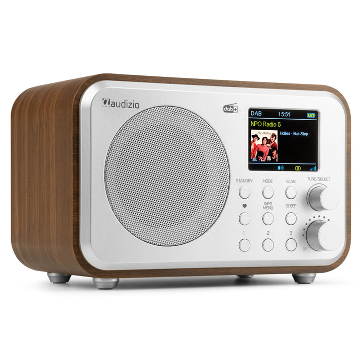 Audizio Milan DAB Radio mit Bluetooth, 10 Stunden Akku Radio 2000 mAh, Radiowecker mit Sleeptimer, L