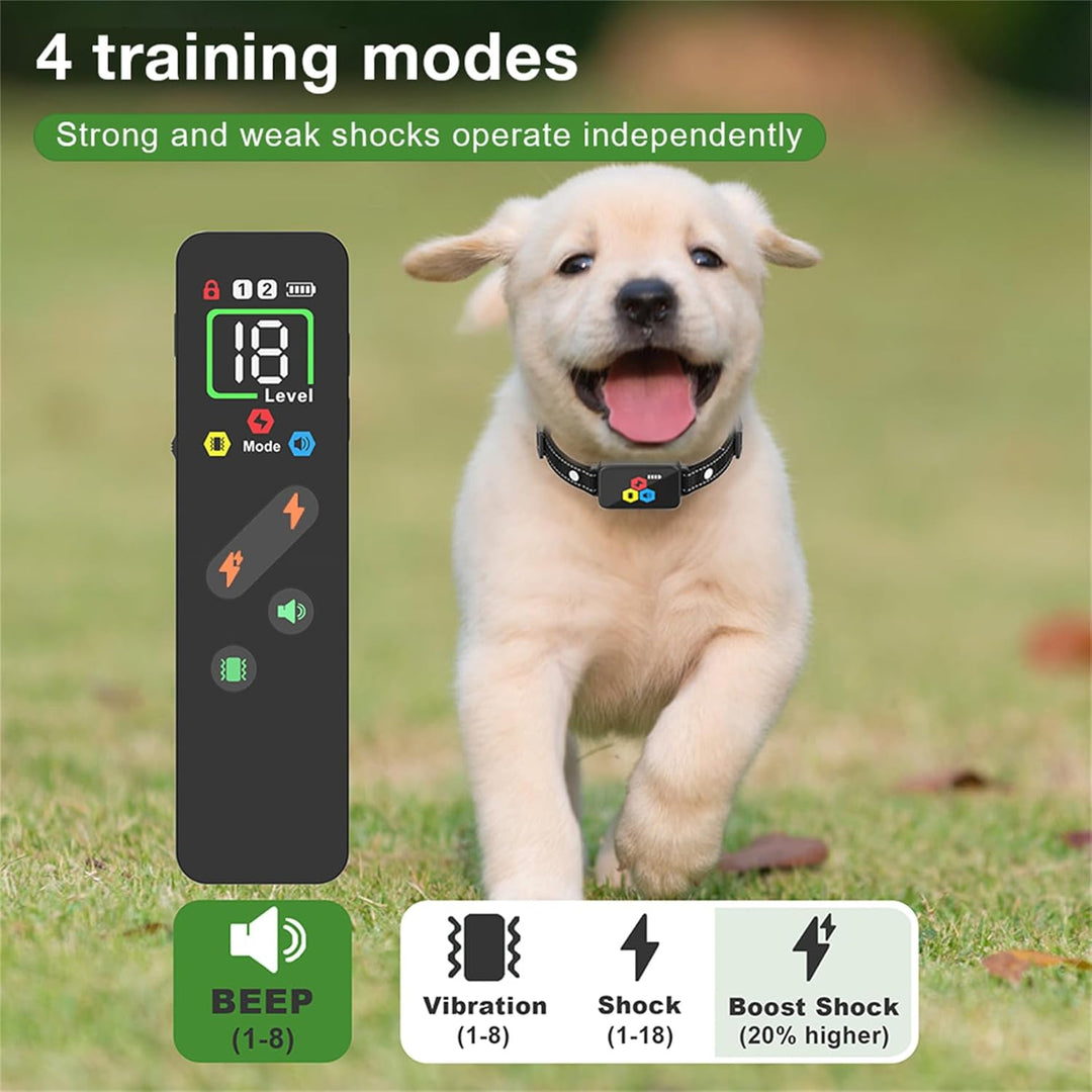 Generisch Die Agility-Ausrüstung Trainingseinrichtungen,Hilfsmittel zur Hunderziehung sowie praktisc