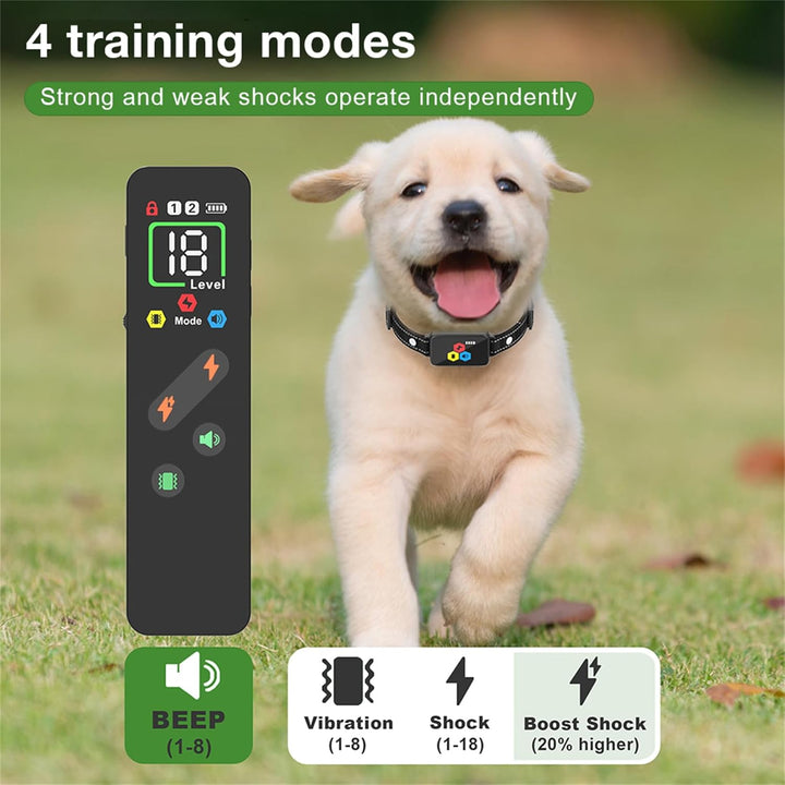 Generisch Die Agility-Ausrüstung Trainingseinrichtungen,Hilfsmittel zur Hunderziehung sowie praktisc