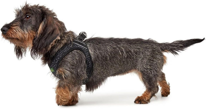 Hundegeschirr Hilo Soft Comfort S, Mesh, grau S grau, S grau