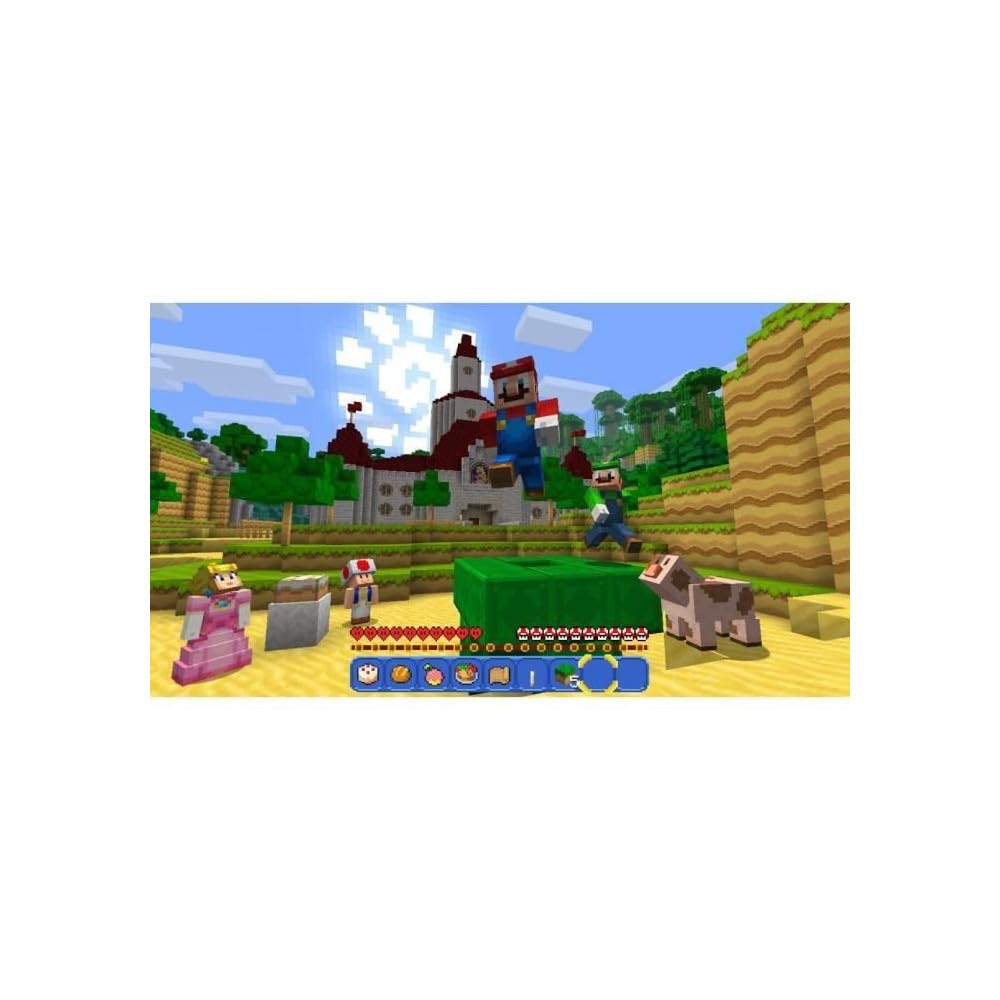 Schalter Minecraft