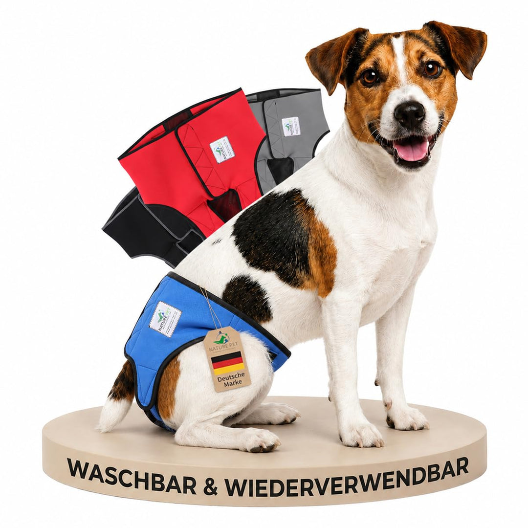 Läufigkeitshose für Hündinnen 2.0 - Hundewindeln aus hochwertigem perforiertem Neopren für einen opt