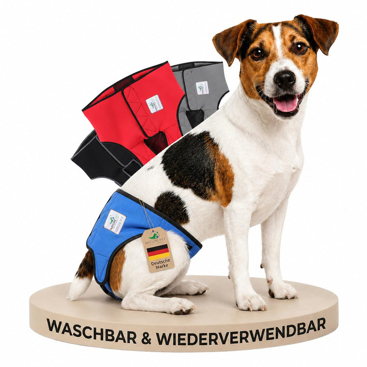 Läufigkeitshose für Hündinnen 2.0 - Hundewindeln aus hochwertigem perforiertem Neopren für einen opt