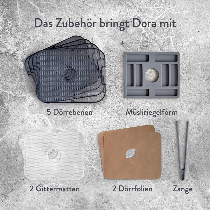 SPRINGLANE Dörrautomat Edelstahl Dora, Dörrgerät, Trockner für Obst, Fleisch & Kräuter inkl. 5x Dörr