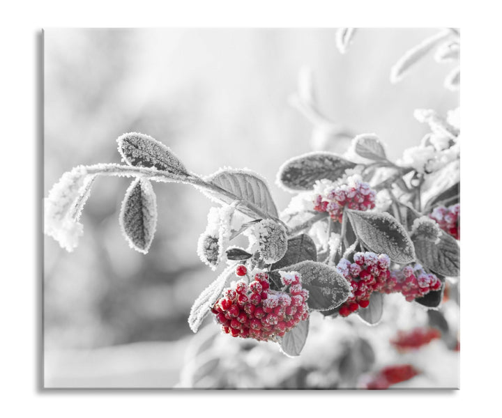 Vogelbeeren im frostigen Winter Herdabdeckplatte & Spritzschutz aus Echtglas | Für Herd-Kochfelder |