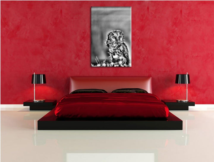 Pixxprint Kauz bestaunt Blatt / 100x70cm Leinwandbild bespannt auf Holzrahmen/Wandbild Kunstdruck De