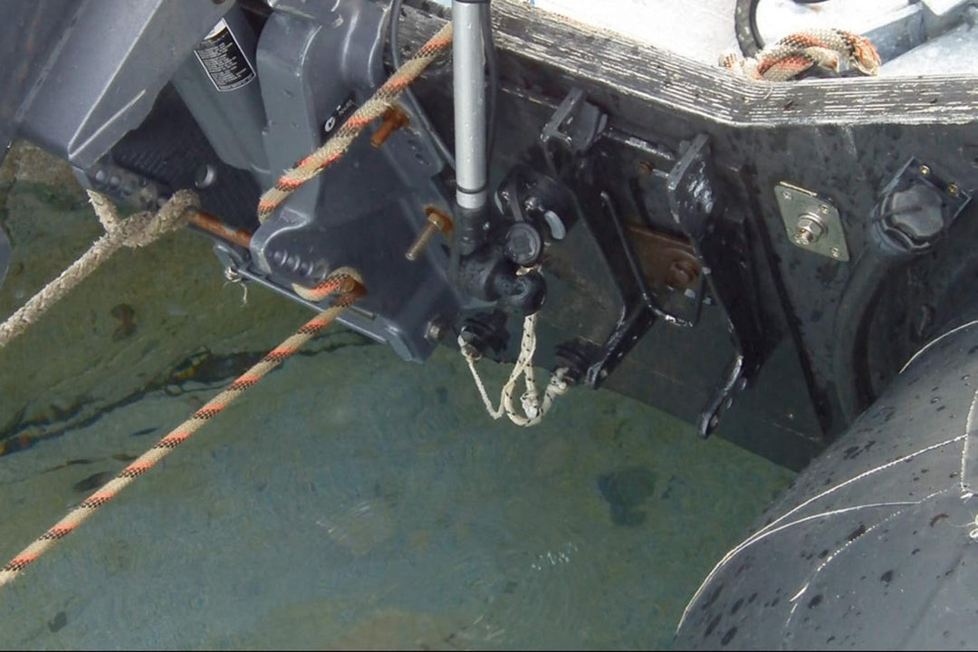 Fasten Geberstange für Heck oder Bug Montage Transducer für Echolot (300mm) schwarz/alu-schwarz, sch