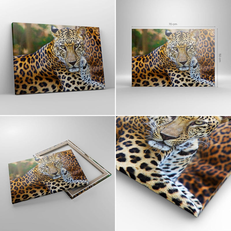 Bilder auf Leinwand Leopardpanther Katze Tier Savanne Leinwandbild 70x50cm Wandbilder Dekoration Woh