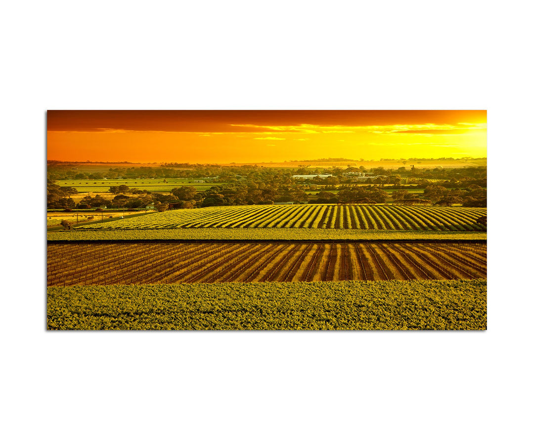 Paul Sinus Art 120x80cm - WANDBILD Landwirtschaft Sonnenuntergang Australien - Leinwandbild auf Keil