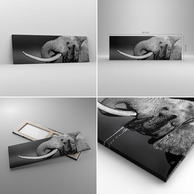 Panorama Bilder auf Leinwand Elefant Stosszahn Natur Leinwandbild 90x30cm Wandbilder Dekoration Wohn