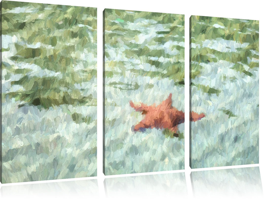 Seestern im klaren Wasser NewArt 3-Teiler Leinwandbild 120x80 Bild auf Leinwand, XXL riesige Bilder