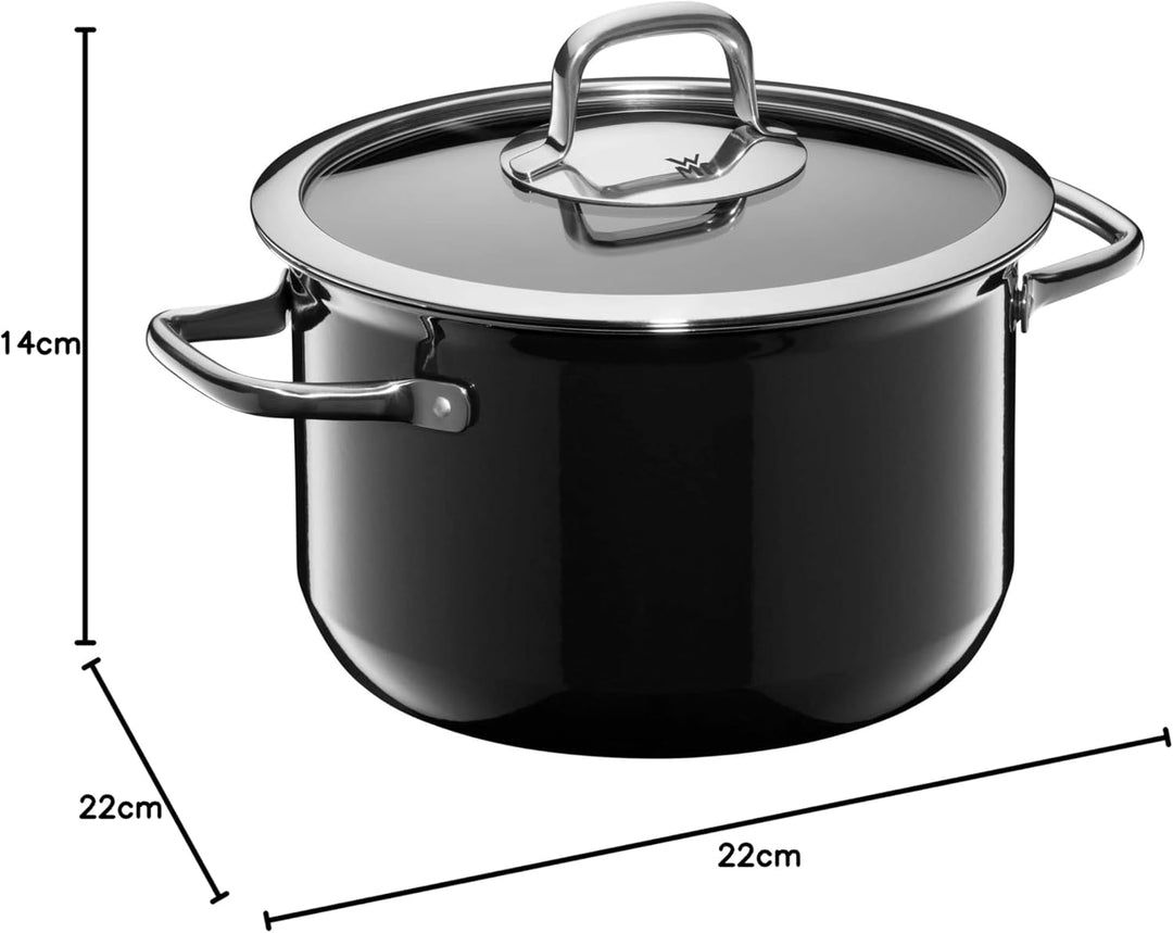 WMF Fusiontec Mineral Kochtopf gross 22 cm, Glasdeckel, Fleischtopf Induktion 4,7l, High-Tech Kerami