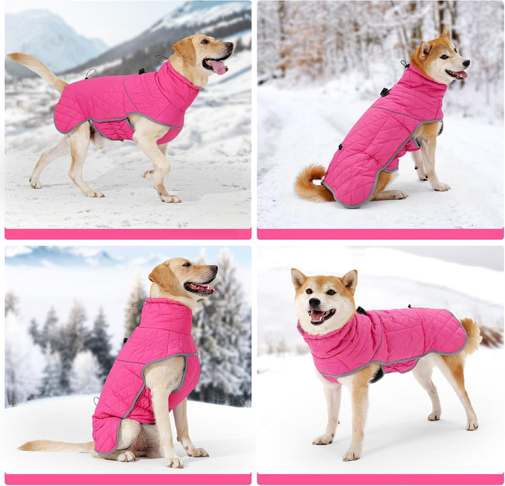 HEYWEAN Hundemantel Winter Wasserdicht Hundejacke mit D-Ring Warm Mantel Hund Fleece Hundepullover R