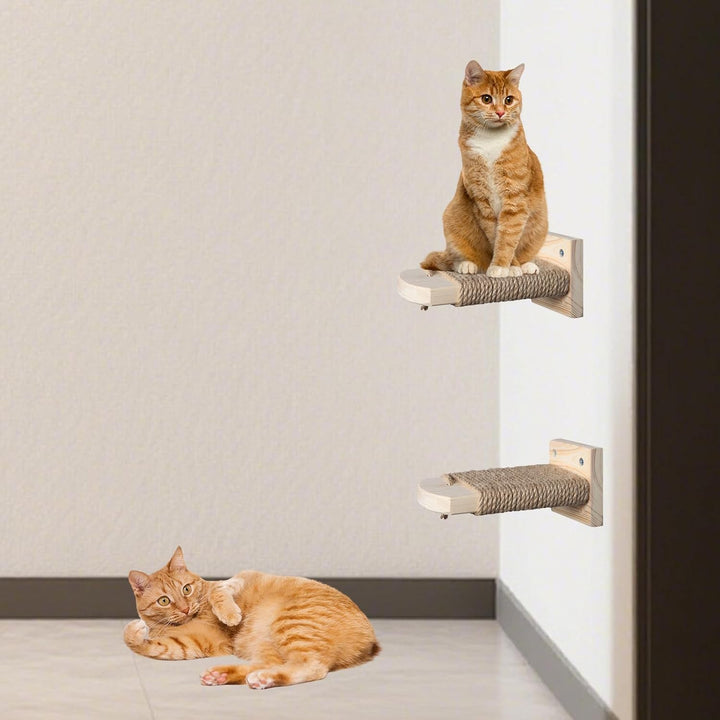 4 in 1 Kletterwand für Katzen Katzentreppe Wand, Wandliege mit Juteseil zum Kratzen, Katzentreppe Pl